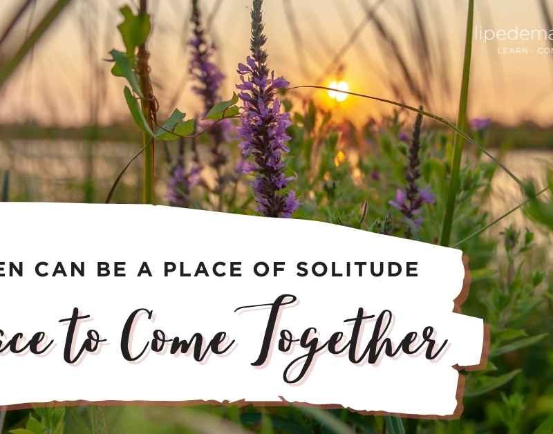 garden-of-solitude