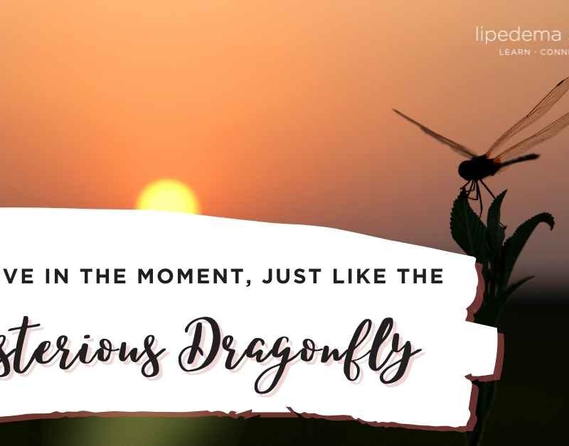 mysterious-dragonfly