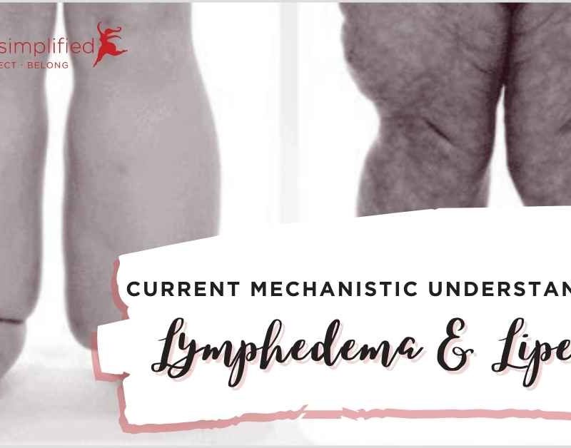 mechanistic understanding