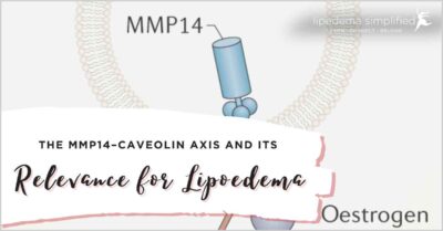 Caveolin and MMP14