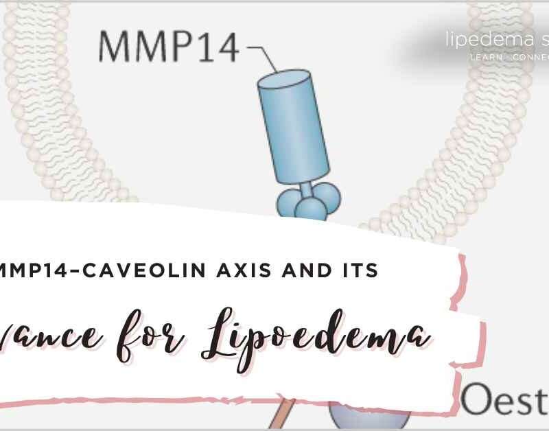 Caveolin and MMP14